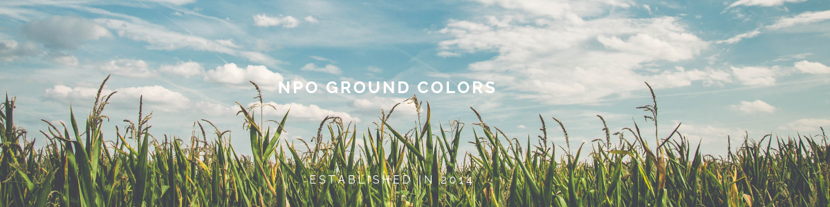 NPO法人グラウンドカラーズのイメージ画像です。2014年設立です。NPO GroundColors Established in 2014